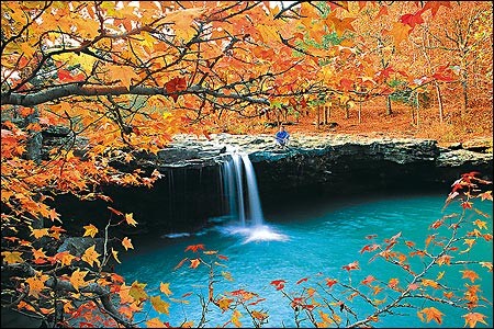 Fall on Come To Branson And Enjoy Scenes Like This From The Ozarks National